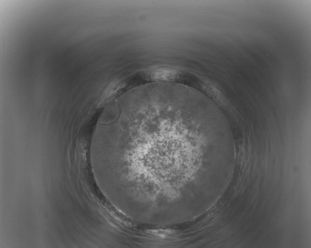 X0000081450363200701191720