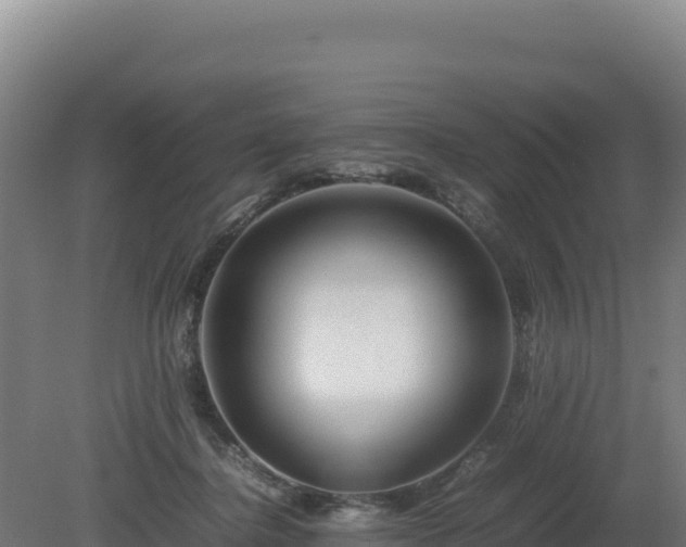 X0000081450364200701191720