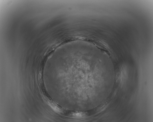 X0000081450365200701191720