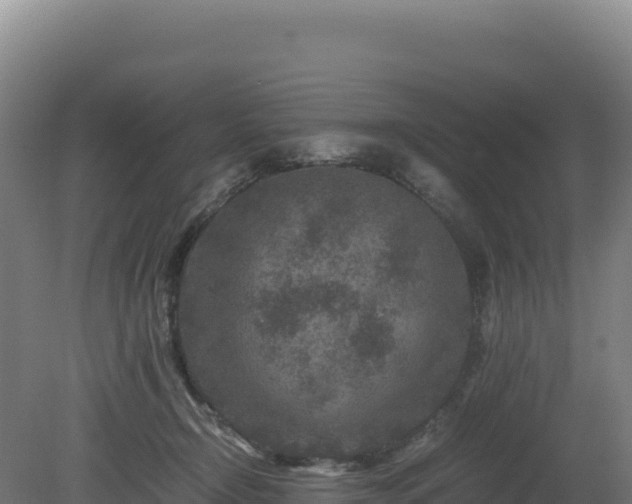 X0000081450366200701191720