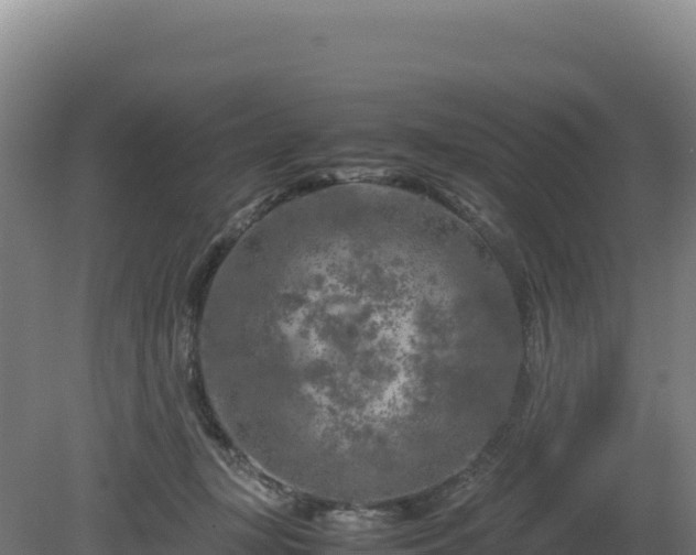 X0000081450367200701191720