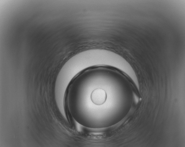 X0000081450368200701191720