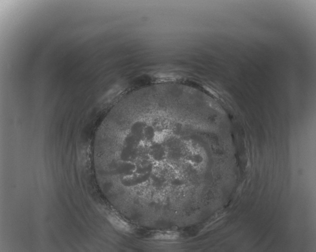 X0000081450369200701191720