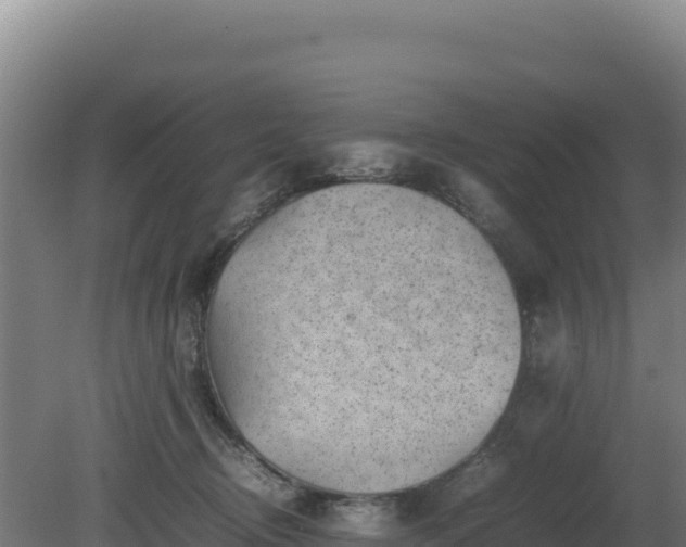 X0000081450370200701191720