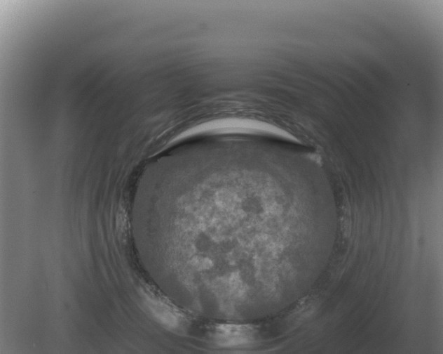 X0000081450371200701191720