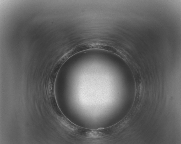 X0000081450372200701191720