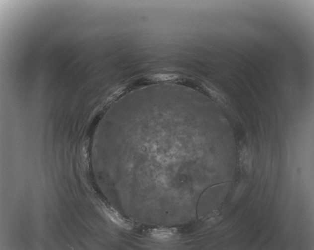 X0000081450373200701191720