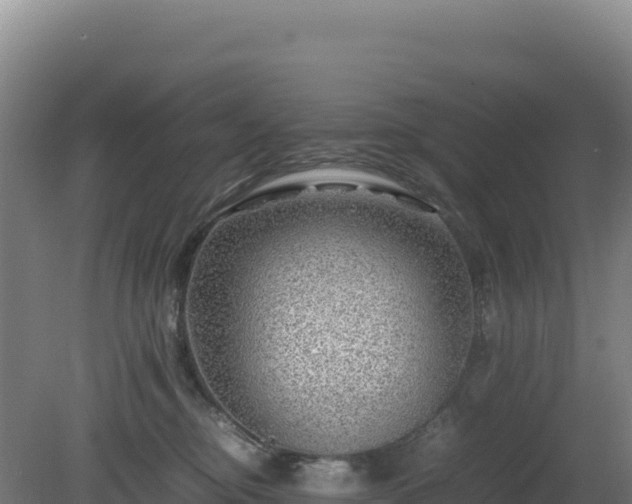 X0000081450374200701191720