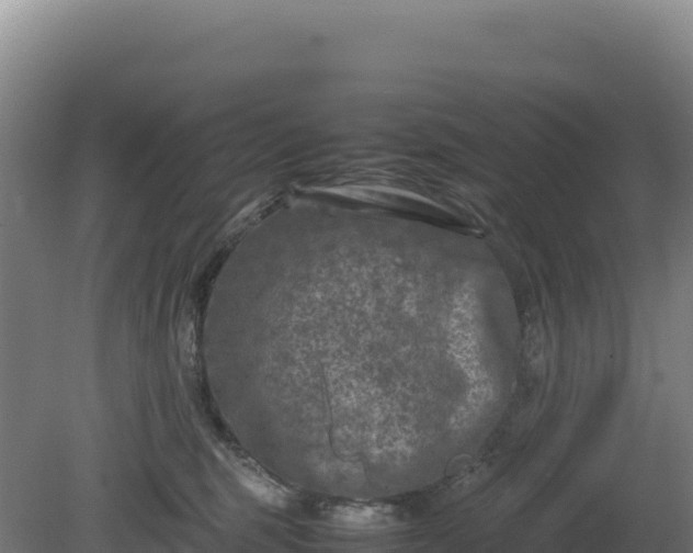 X0000081450375200701191720