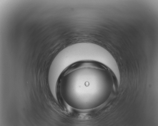 X0000081450376200701191720