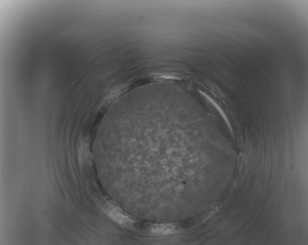 X0000081450377200701191720