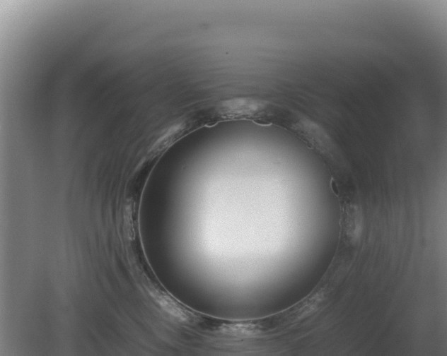 X0000081450378200701191720