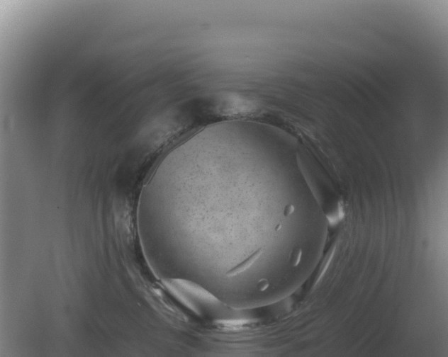 X0000081450380200701191720