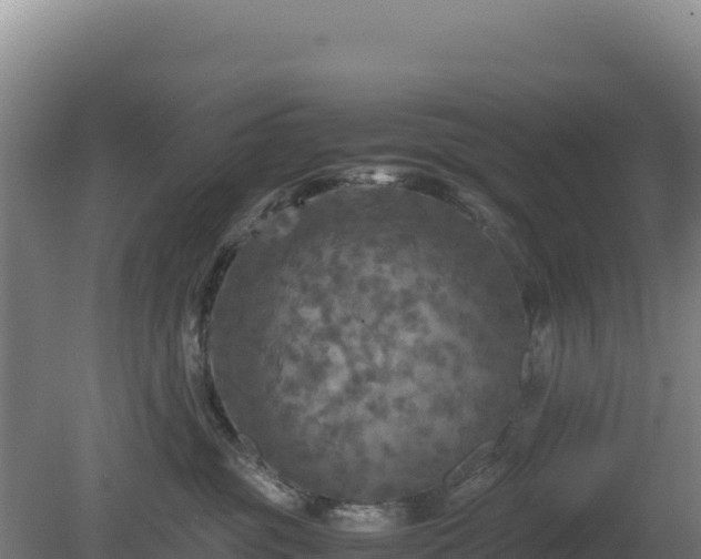 X0000081450381200701191720