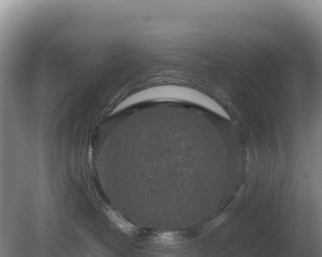 X0000081450382200701191720