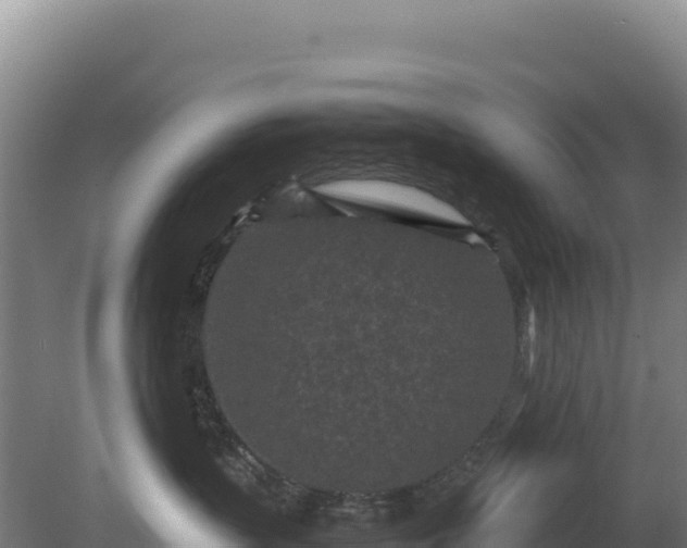 X0000081450383200701191720