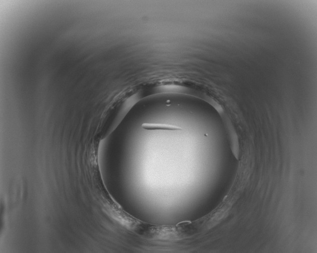 X0000081450384200701191720