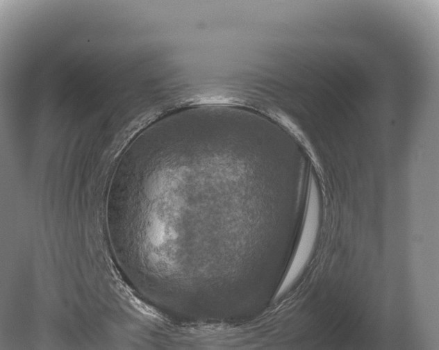 X0000081450385200701191719