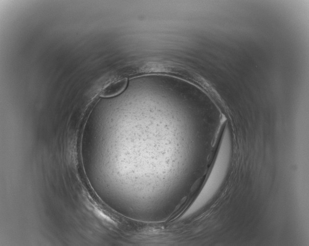 X0000081450386200701191719