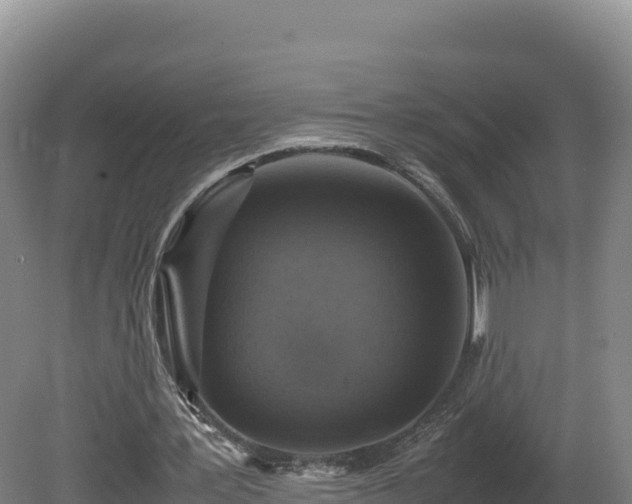 X0000081450387200701191719