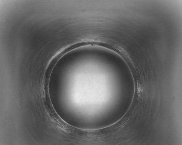 X0000081450388200701191719