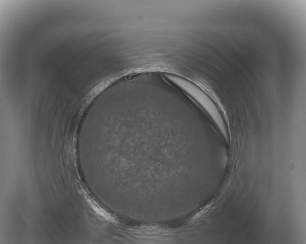 X0000081450389200701191719