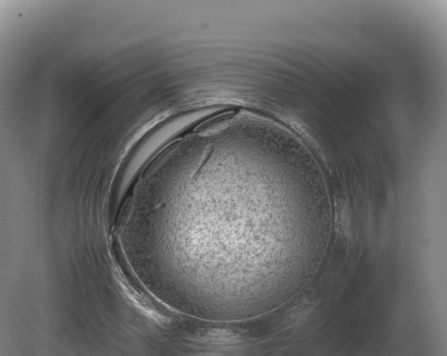 X0000081450390200701191719