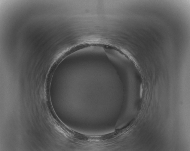 X0000081450391200701191719