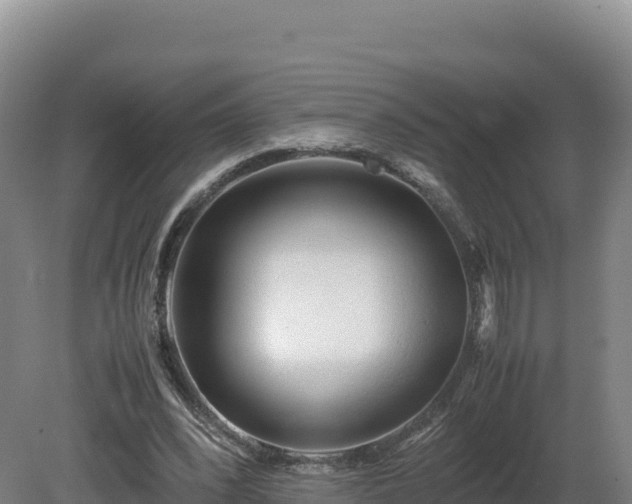 X0000081450392200701191719