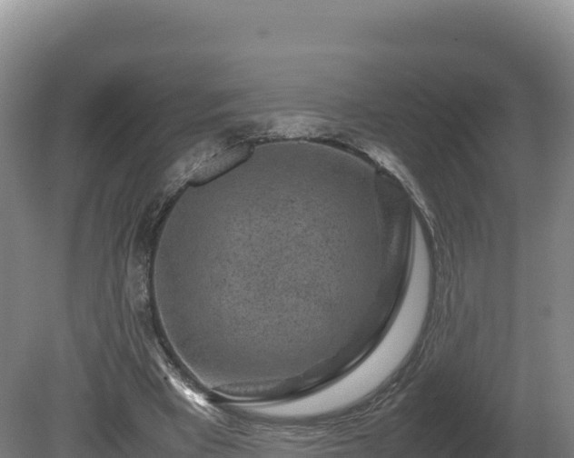 X0000081450393200701191719