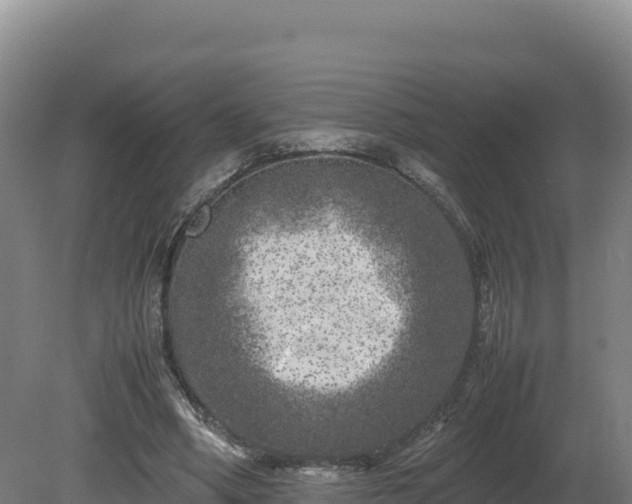 X0000081450394200701191719