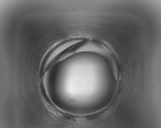 X0000081450395200701191719