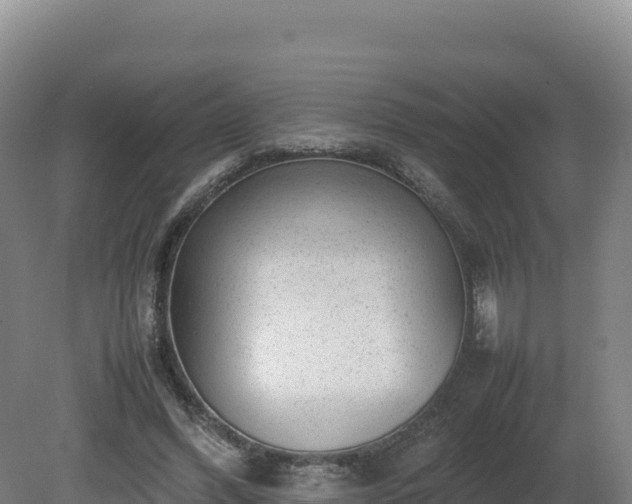 X0000081450396200701191719