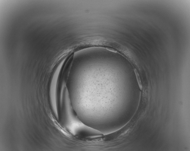 X0000081450397200701191719