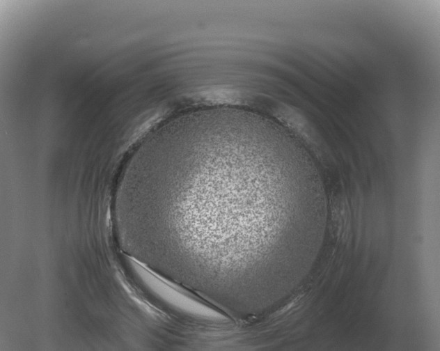 X0000081450398200701191719