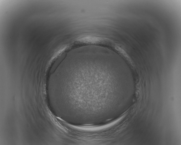 X0000081450399200701191719