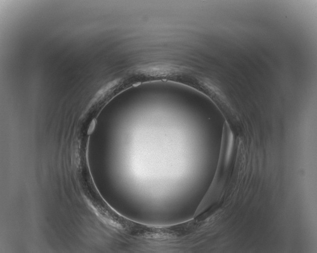 X0000081450400200701191719