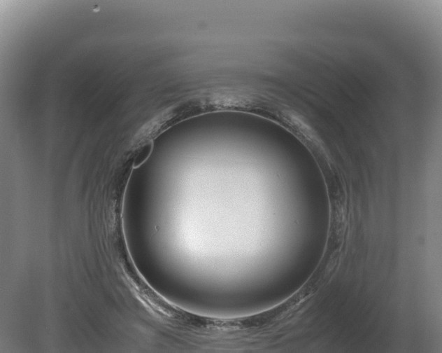 X0000081450401200701191719