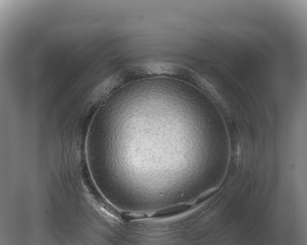 X0000081450402200701191719