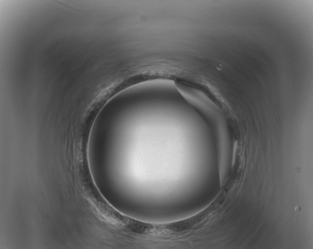 X0000081450403200701191719