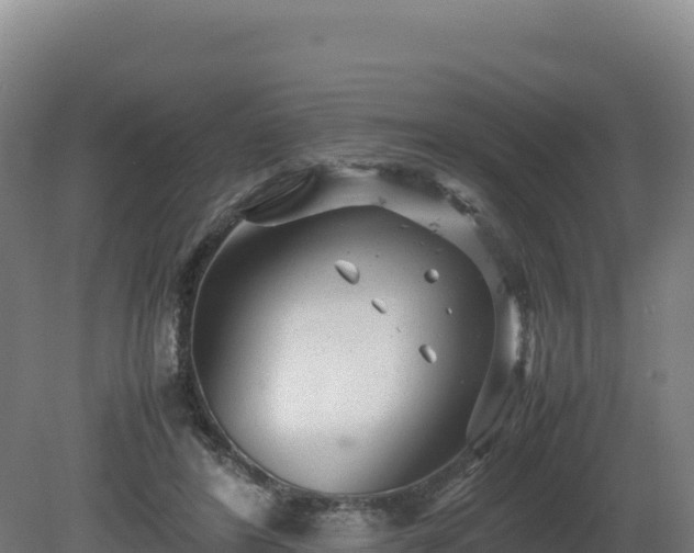 X0000081450404200701191719