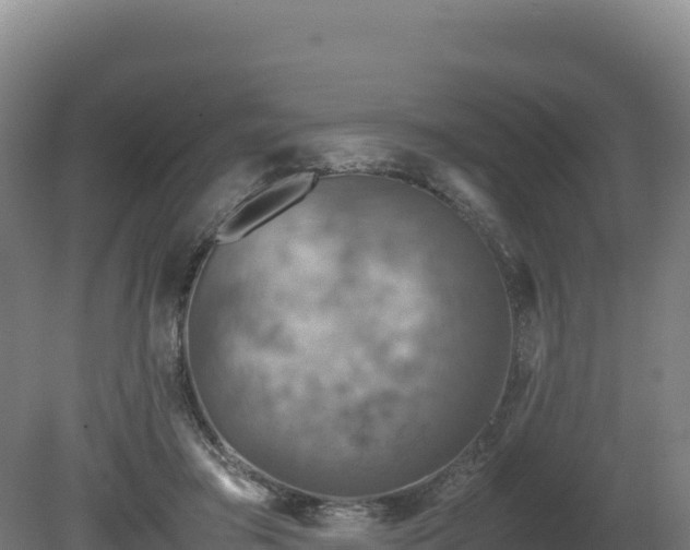 X0000081450405200701191719