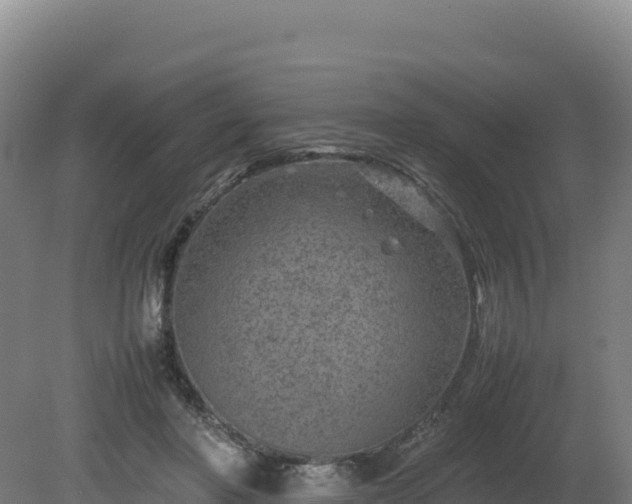 X0000081450406200701191719