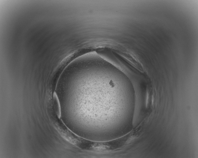 X0000081450407200701191719