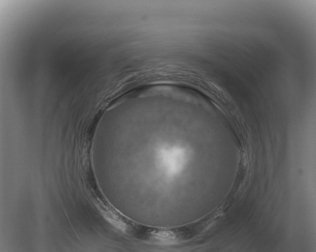 X0000081450409200701191719