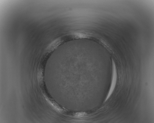 X0000081450410200701191719