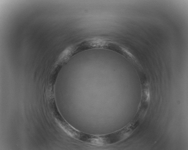 X0000081450411200701191719