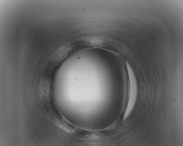 X0000081450412200701191719