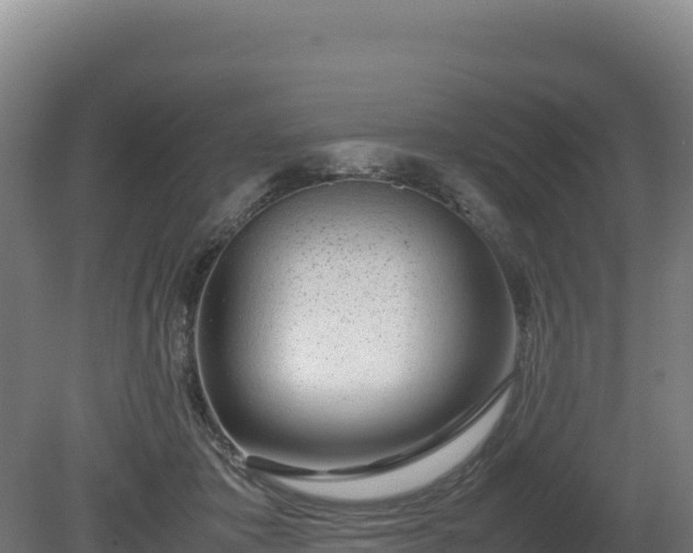 X0000081450413200701191719