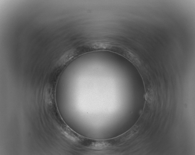 X0000081450414200701191719